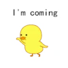 Cute Duck 11