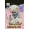 @Bhumika_2704 (Video Pack 3) 11
