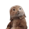 Bunny 18