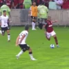 Fla.Videos 13