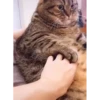 @Bhumika_2704 (Video Pack 3) 13