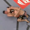 UFC Aesthetics 14