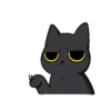 Black Cat Misty 14