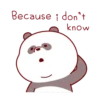 Brownie Bear MOV 16
