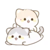 Meow Cutie 12