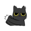 Black Cat Misty 15