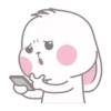 Bunny 16
