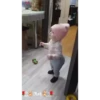 Bebês fofos 18