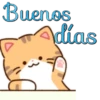 Buenos Días💞1🇵🇪Movi 23