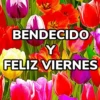 Bendecido, Feliz Día, Saludos 11