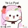 Lucky_kaif 23