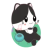 GATITOS CUTE 13