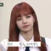 🦋 @BLACKPINK_ALL_SONGS 🦋 GO :: @fStikBot 17