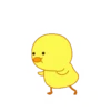 Cute Duck 16