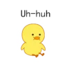 Cute Duck 17