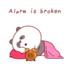 Brownie Bear MOV 20