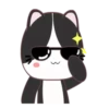 GATITOS CUTE 14