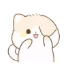 Meow Cutie 17