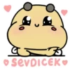 Abejita 24