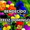 Bendecido, Feliz Día, Saludos 14