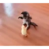 kitten club 28