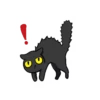 Black Cat Misty 19