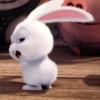 Bunny 23