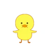 Cute Duck 19
