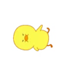 Cute Duck 20