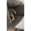 Bebês fofos 28
