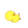 Cute Duck 22