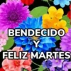 Bendecido, Feliz Día, Saludos 16
