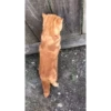 @Bhumika_2704 (Video Pack 3) 26