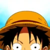 LUFFY TEXT MOV 24