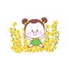 coco flowers 23
