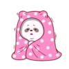 Brownie Bear MOV 25
