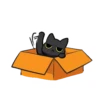 Black Cat Misty 24