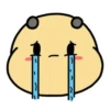 Abejita 29