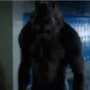 Hombre Lobo 1 Movi 5
