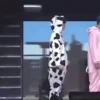 Lil Meow 9