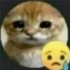 animalitos 7