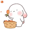 Chubby rabbit bbanggle 5
