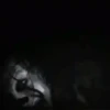 Halloween terror 1 Movi 6