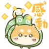 Perfectly Shiba inu Pop-up 5