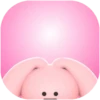 Pinky 🐰 8