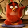 Angry Birds ✺1 Movi 9