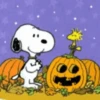 Halloween ️ ‍ Movi 13