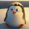 Pingüitu 1 Movi 6
