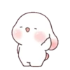 Chubby rabbit bbanggle 6