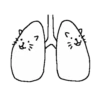 Abnormal cats 6